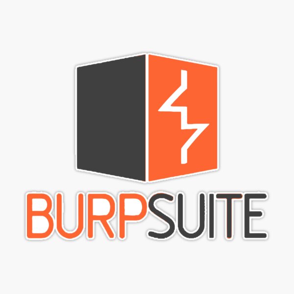 Burp Suite Professional