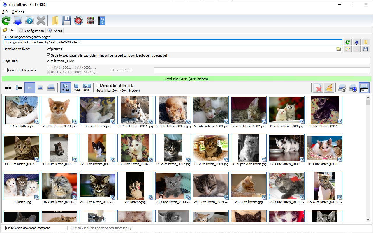 Bulk Image Downloader 6.45.0