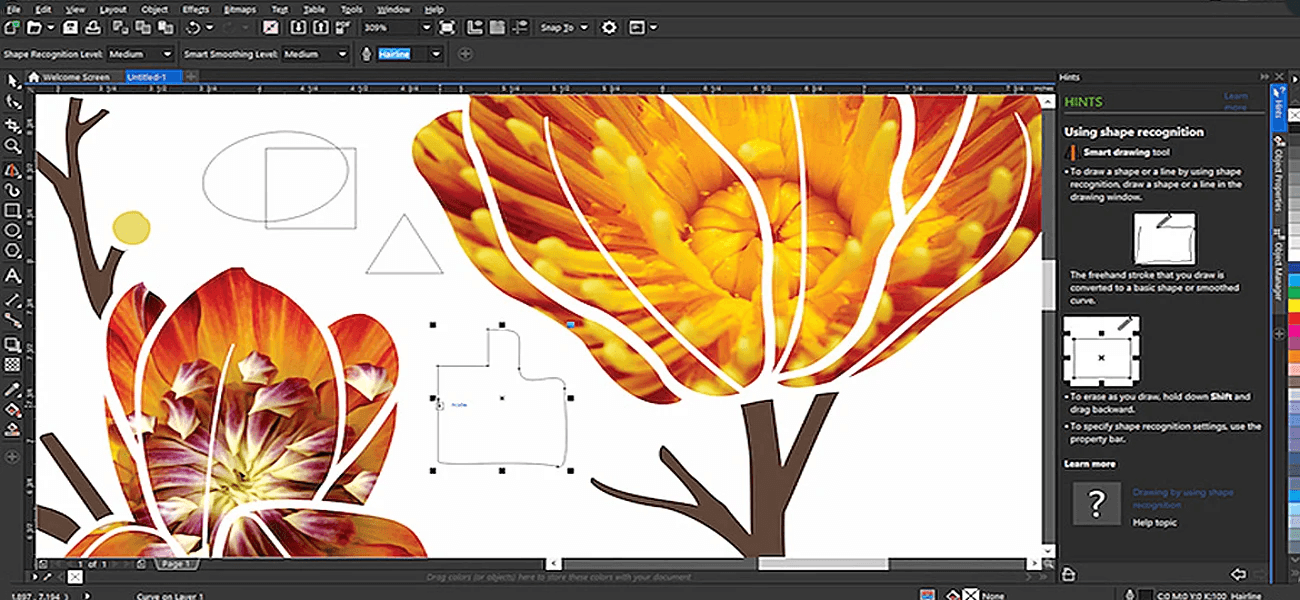 Corel DRAW X8