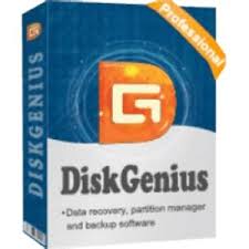 DiskGenius Professional 5.5.1.1508 Free Download