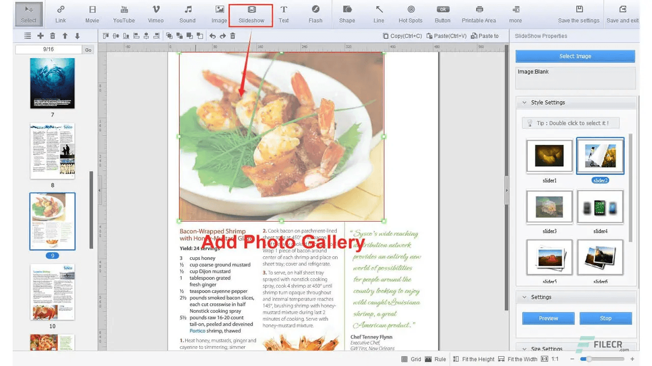 Flip PDF Professional 2.4.10.2